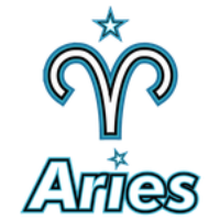 Aster Aries